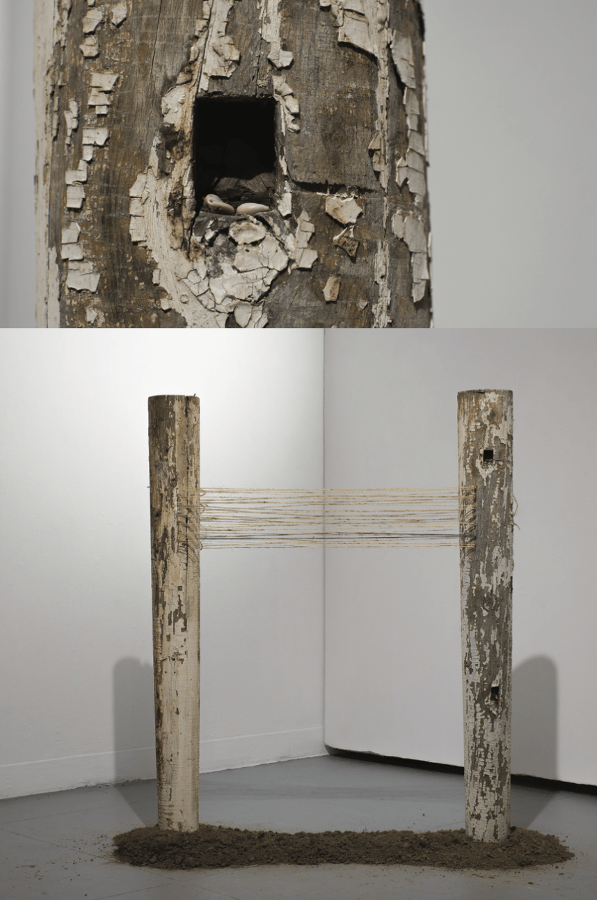 Visual Processes: Maya&nbsp;Howard-Watts