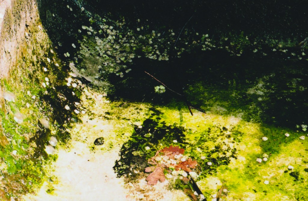 Ankle Deep in Mud &&nbsp;Water