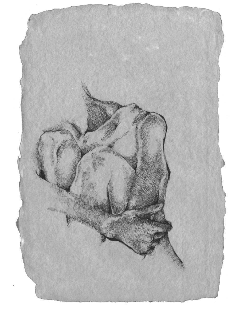 La Vida, La Fuerza, La&nbsp;Mujer