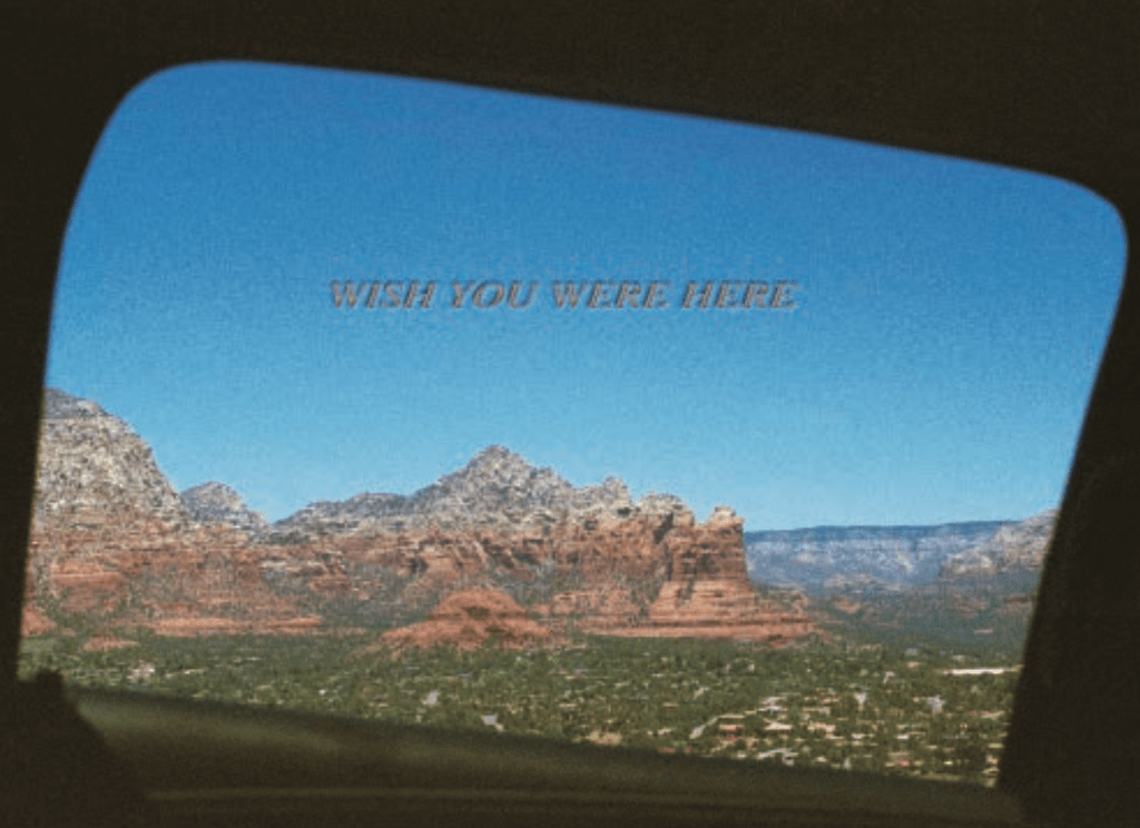 Three Week Old&nbsp;Adult