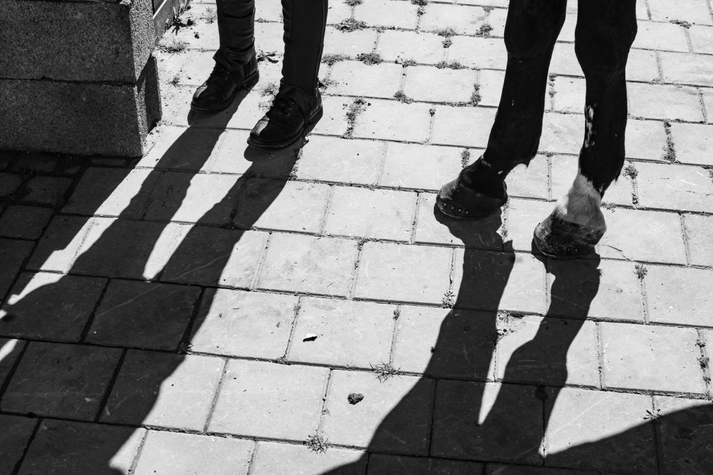 Issue Artwork, Spring&nbsp;2021