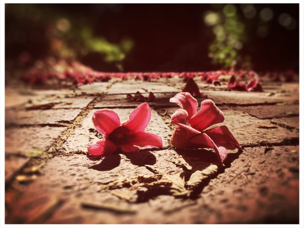 I Knew I Was&nbsp;Falling